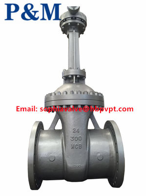 300LB WCB литой стальной клапан