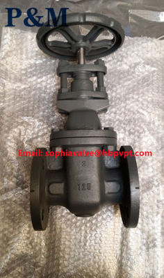 ANSI 125LB ASTM A126B клапан отливного железа