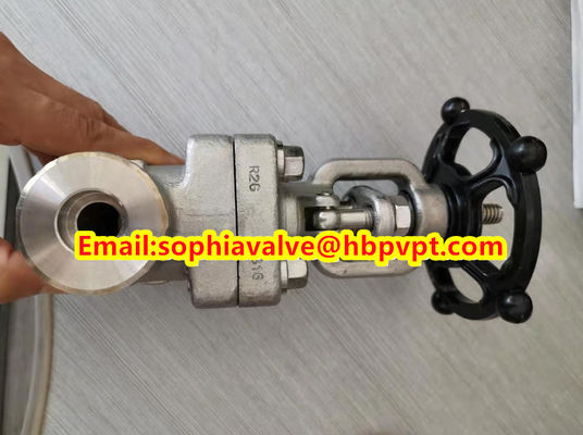 ANSI F321 F316 кованый дверной клапан из нержавеющей стали