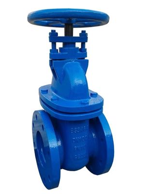 BS3464 PN10 GG25 клапан отливного железа