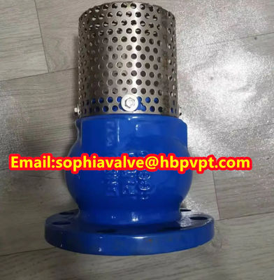 DIN PN16 GGG-50 Дюктильный железный стопник