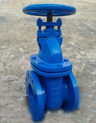 ДН100 PN10 GG25 BS3464 дверной клапан