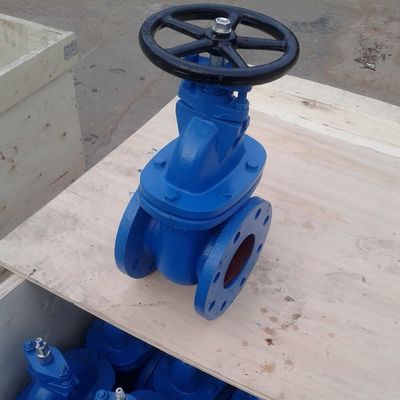 ДН100 PN10 GG25 BS3464 дверной клапан
