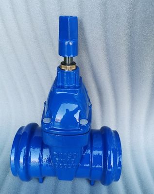 клапан с разъемной дверью из гибкого железа GGG50 DN50 PN16 синего цвета
