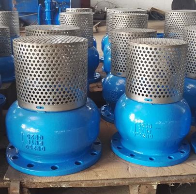 DN250 PN16 GG25 Screen SS304 клапан для ног