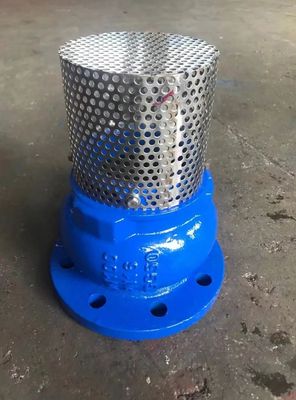DN250 PN16 GG25 Screen SS304 клапан для ног
