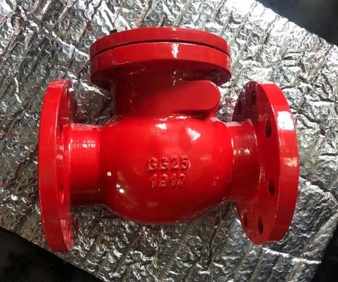 ДН250 PN16 GGG50 Свинговый чековый клапан из чугуна
