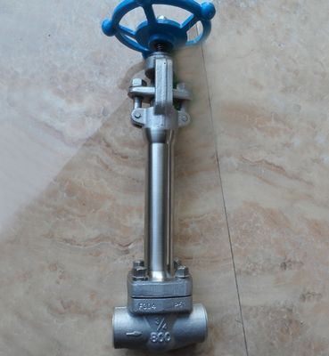 A182 F304/304L кованый клапан из нержавеющей стали