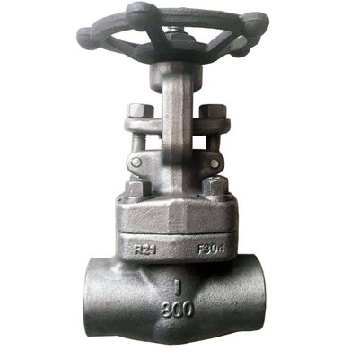 A182 F304/304L кованый клапан из нержавеющей стали