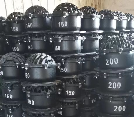 DN150 DN200 Фланцевый футовый клапан из чугуна