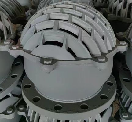 DN150 DN200 Фланцевый футовый клапан из чугуна