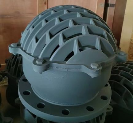 DN150 DN200 Фланцевый футовый клапан из чугуна