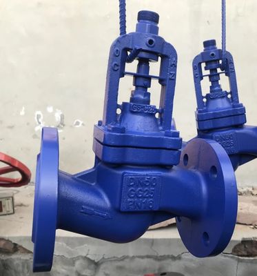 Вентилятор с шариковым шаром с корпусом GG25 и капотом GS-C25