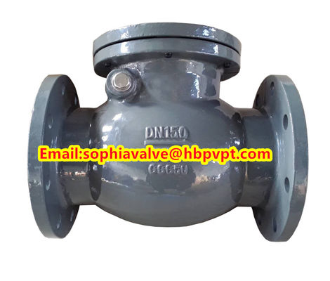 BS5153 PN16 Свинговый чековый клапан из чугуна