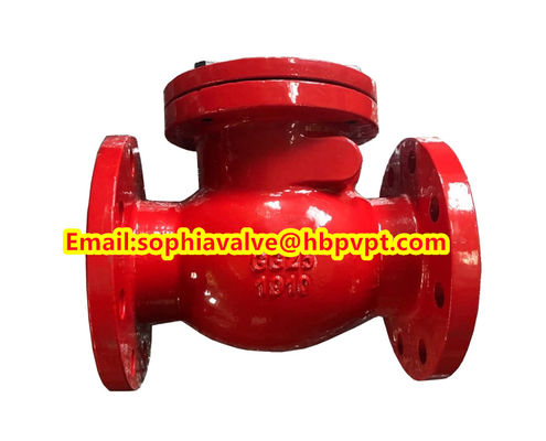 BS5153 PN16 Свинговый чековый клапан из чугуна
