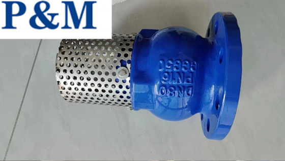 DN100 PN16 GGG50 Фланцевый футовый клапан из чугуна