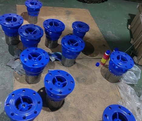 Перекрытие EPDM с гибким железным фланцевым клапаном для ног, изготовленным в Китае