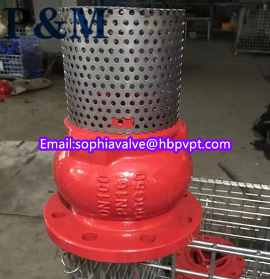 dn100 pn16 GGG50 стенд из нержавеющей стали