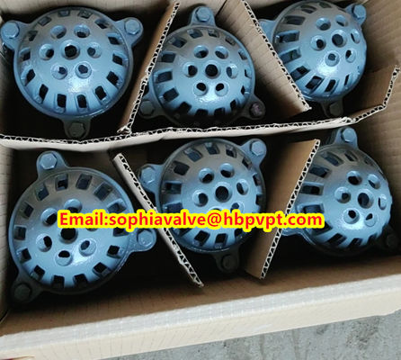Pawofuou экспортирует из Китая стволовые клапаны из чугуна BS21