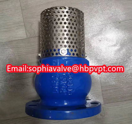JIS ANSI 125LB Фланцевый футовый клапан из чугуна