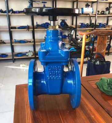 BS5163 PN16 GGG50 Защитные клапаны из чугуна для водоснабжения