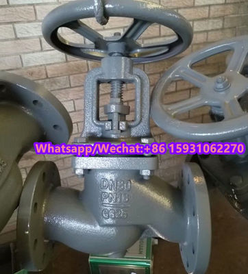 DN125 PN16 GG25 поставщик клапанов для земного шара