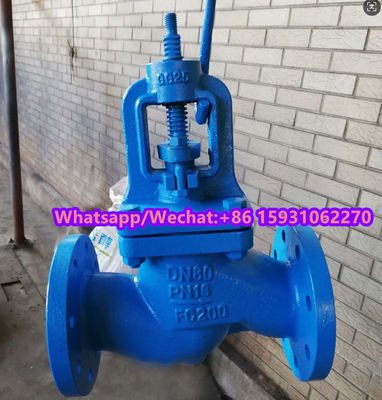 DN125 PN16 GG25 поставщик клапанов для земного шара