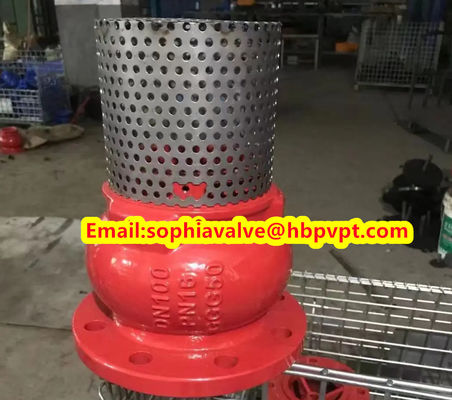 DN80 GGG50 PN16 Фланцевый футовый клапан из чугуна