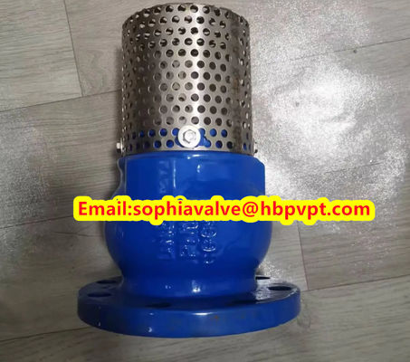 DN80 GGG50 PN16 Фланцевый футовый клапан из чугуна