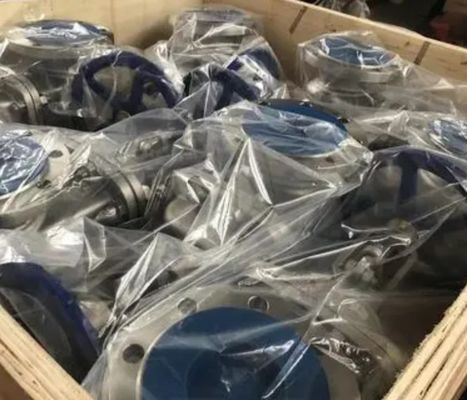 WCB литой сталь PN40 мешок клапан глобус
