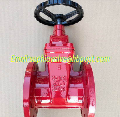 Вентиль с фланцевой дверью AWWA 250PSI