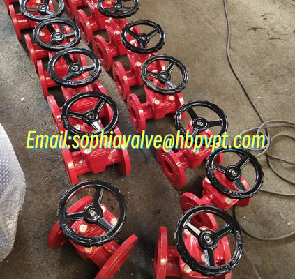 Вентиль с фланцевой дверью AWWA 250PSI