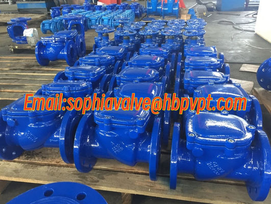 DN200 PN16 GGG50 Фланцевый редуктор из чугуна