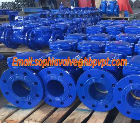 DN200 PN16 GGG50 Фланцевый редуктор из чугуна