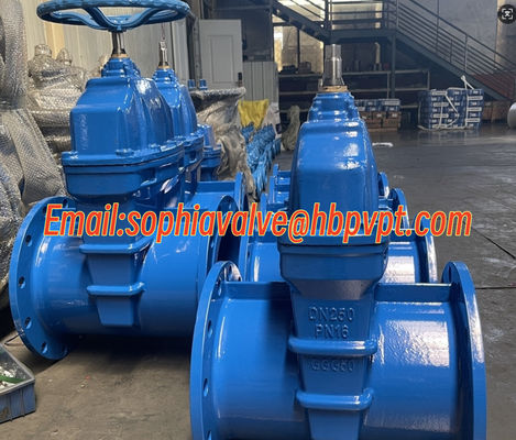 ДН250 PN16 GGG50 отливный железный дверной клапан