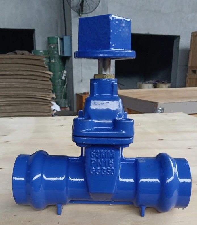 клапан с разъемной дверью из гибкого железа GGG50 DN50 PN16 синего цвета