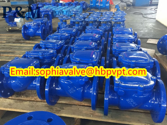 DIN PN10 PN16 Swing check valve