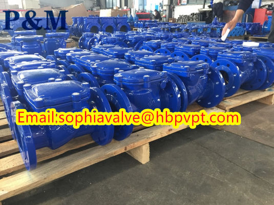 DIN PN10 PN16 Swing check valve