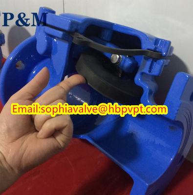 DIN PN10 PN16 Swing check valve