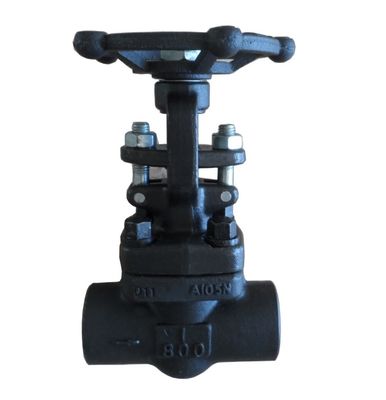 pressure 800LB ANSI standard forged globe valve